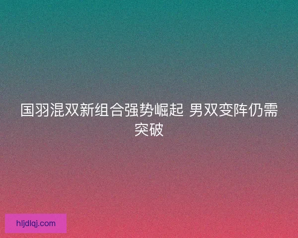 国羽混双新组合强势崛起 男双变阵仍需突破