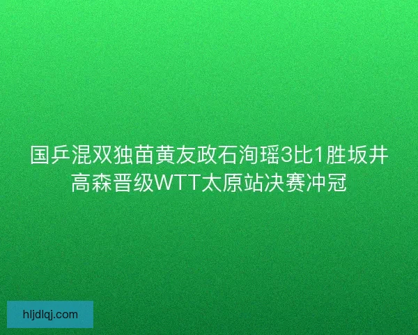 国乒混双独苗黄友政石洵瑶3比1胜坂井高森晋级WTT太原站决赛冲冠 国乒混双独苗黄友政石洵瑶3比1胜坂井高森晋级WTT太原站决赛冲冠